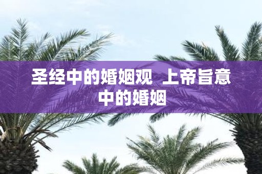 圣经中的婚姻观 上帝旨意中的婚姻