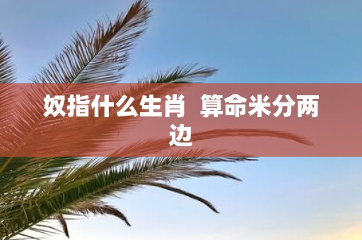 奴指什么生肖 算命米分两边