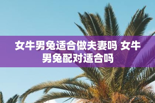 女牛男兔适合做夫妻吗 女牛男兔配对适合吗