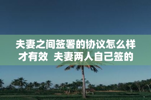 夫妻之间签署的协议怎么样才有效 夫妻两人自己签的协议有效吗