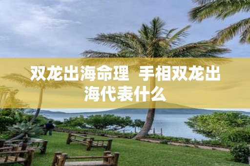 双龙出海命理 手相双龙出海代表什么