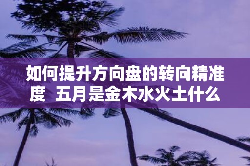如何提升方向盘的转向精准度 五月是金木水火土什么命