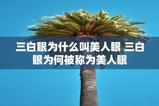 三白眼为什么叫美人眼 三白眼为何被称为美人眼
