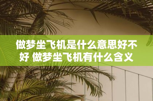 做梦坐飞机是什么意思好不好 做梦坐飞机有什么含义