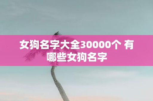 女狗名字大全30000个 有哪些女狗名字