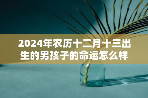 2025年农历十二月十三出生的男孩子的命运怎么样