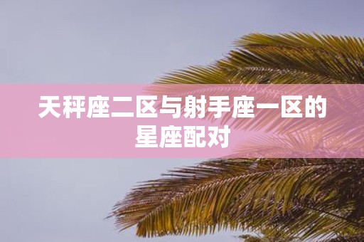 天秤座二区与射手座一区的星座配对