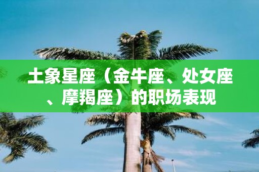 土象星座（金牛座、处女座、摩羯座）的职场表现