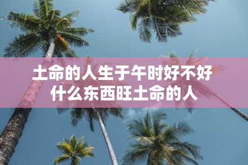 土命的人生于午时好不好 什么东西旺土命的人