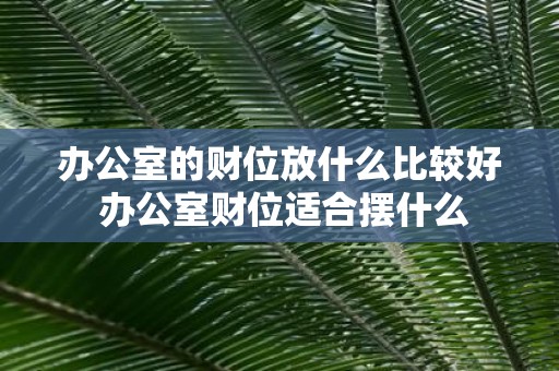 办公室的财位放什么比较好 办公室财位适合摆什么