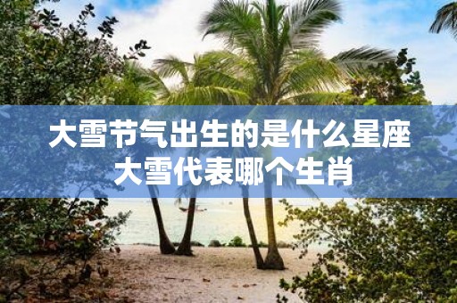 大雪节气出生的是什么星座 大雪代表哪个生肖