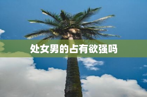 处女男的占有欲强吗