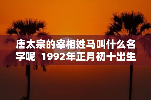 唐太宗的宰相姓马叫什么名字呢 1992年正月初十出生是什么命