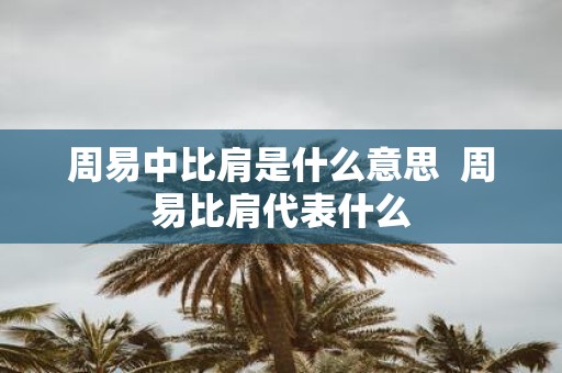 周易中比肩是什么意思 周易比肩代表什么