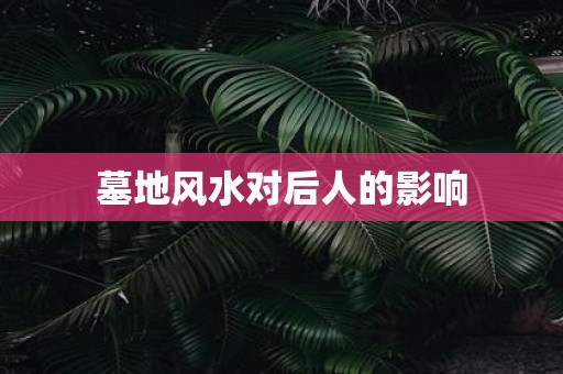 墓地风水对后人的影响