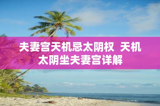 夫妻宫天机忌太阴权 天机太阴坐夫妻宫详解