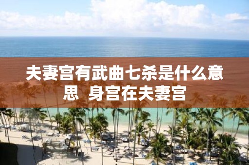 夫妻宫有武曲七杀是什么意思 身宫在夫妻宫