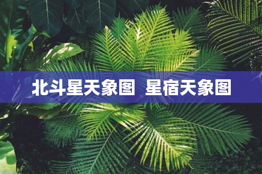 北斗星天象图 星宿天象图