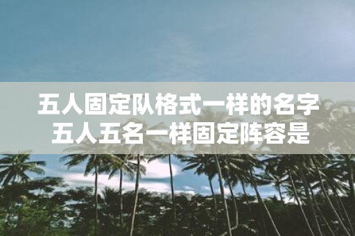 五人固定队格式一样的名字 五人五名一样固定阵容是否可行
