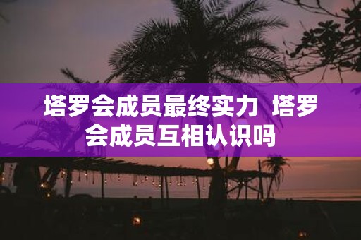 塔罗会成员最终实力 塔罗会成员互相认识吗