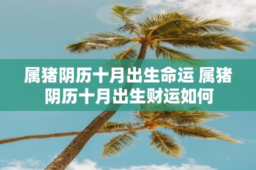 属猪阴历十月出生命运 属猪阴历十月出生财运如何
