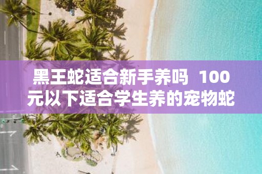 黑王蛇适合新手养吗 100元以下适合学生养的宠物蛇