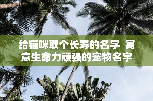 给猫咪取个长寿的名字 寓意生命力顽强的宠物名字