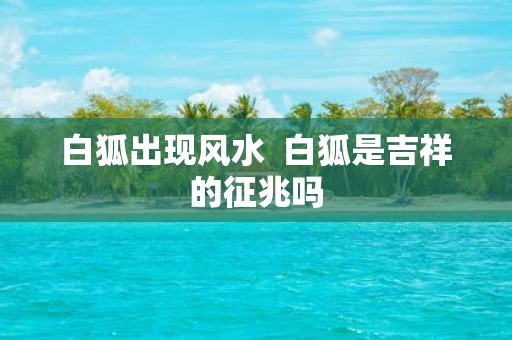 白狐出现风水 白狐是吉祥的征兆吗