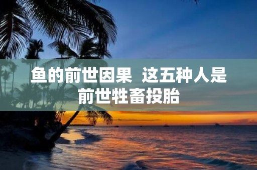 鱼的前世因果 这五种人是前世牲畜投胎