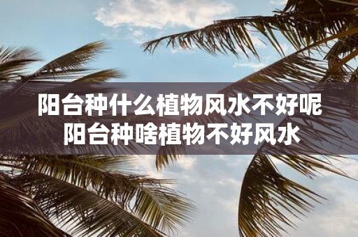 阳台种什么植物风水不好呢 阳台种啥植物不好风水