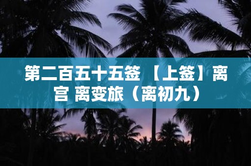 第二百五十五签 【上签】离宫 离变旅（离初九）