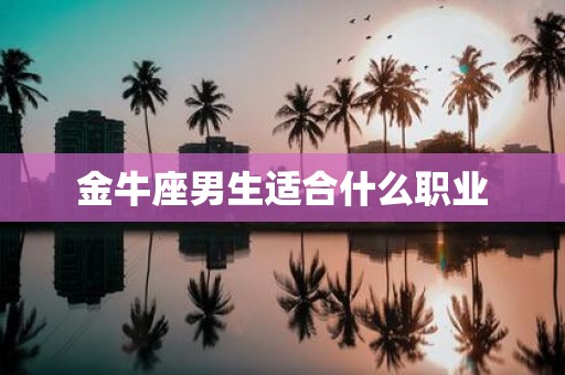 金牛座男生适合什么职业