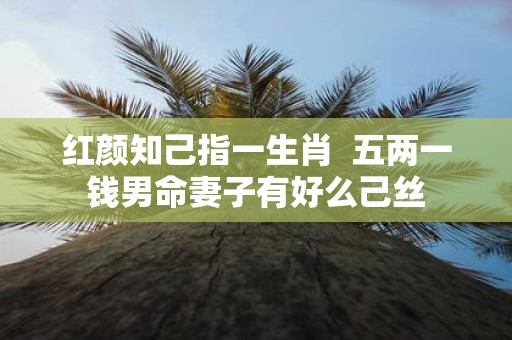 红颜知己指一生肖 五两一钱男命妻子有好么己丝