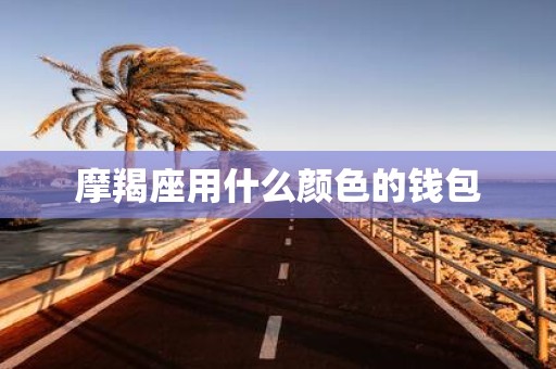 摩羯座用什么颜色的钱包