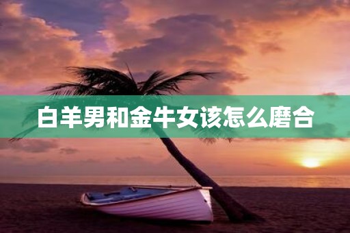 白羊男和金牛女该怎么磨合