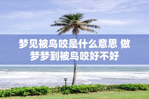 梦见被鸟咬是什么意思 做梦梦到被鸟咬好不好