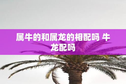 属牛的和属龙的相配吗 牛龙配吗