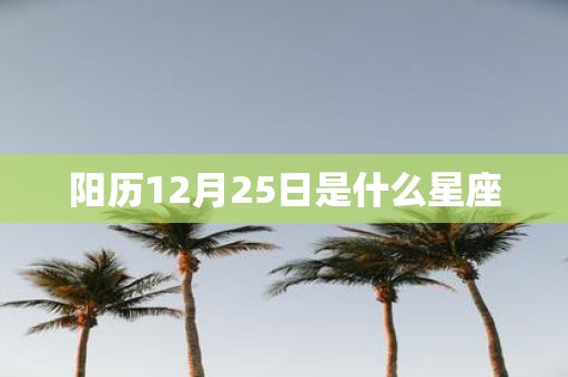 阳历12月25日是什么星座