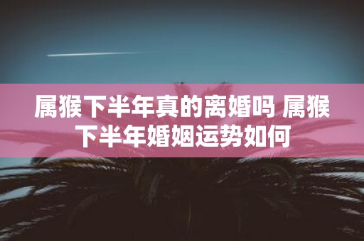 属猴下半年真的离婚吗 属猴下半年婚姻运势如何