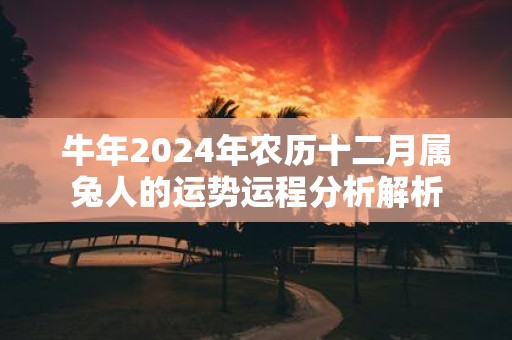牛年2025年农历十二月属兔人的运势运程分析解析