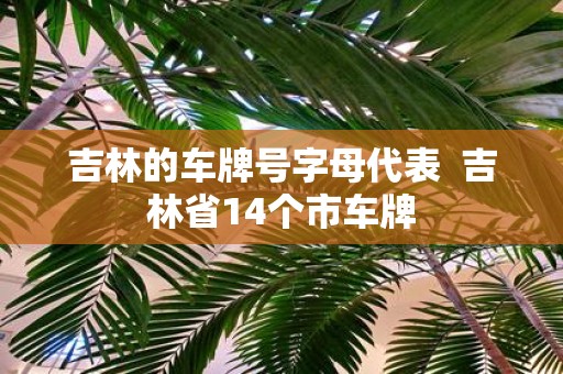 吉林的车牌号字母代表 吉林省14个市车牌