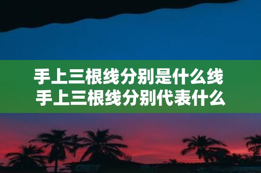 手上三根线分别是什么线 手上三根线分别代表什么