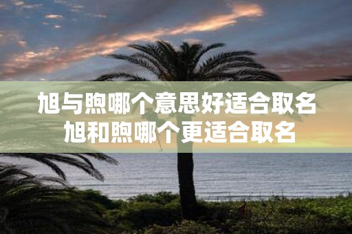 旭与煦哪个意思好适合取名 旭和煦哪个更适合取名