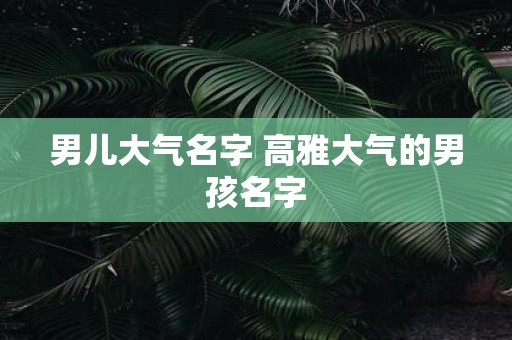 男儿大气名字 高雅大气的男孩名字