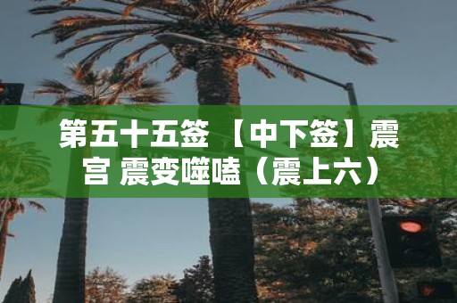 第五十五签 【中下签】震宫 震变噬嗑（震上六）