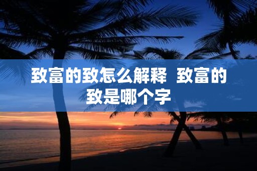 致富的致怎么解释 致富的致是哪个字