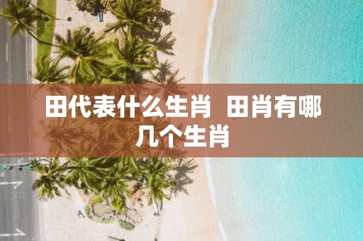 田代表什么生肖 田肖有哪几个生肖