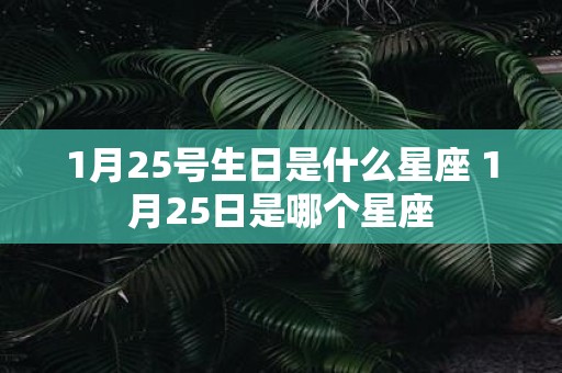 1月25号生日是什么星座 1月25日是哪个星座