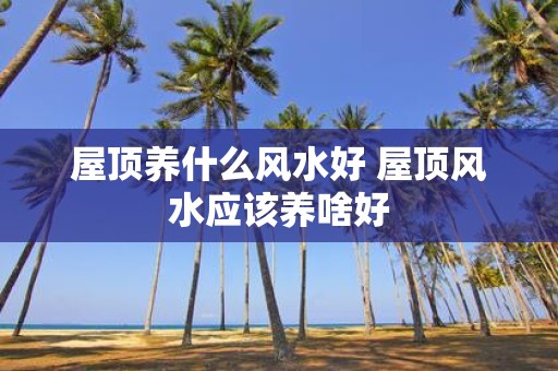 屋顶养什么风水好 屋顶风水应该养啥好