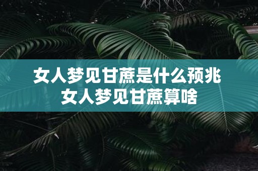 女人梦见甘蔗是什么预兆 女人梦见甘蔗算啥